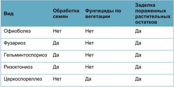 Корневые и прикорневые гнили колосовых: мифы и реальность